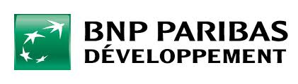 Logo BPN Developpement